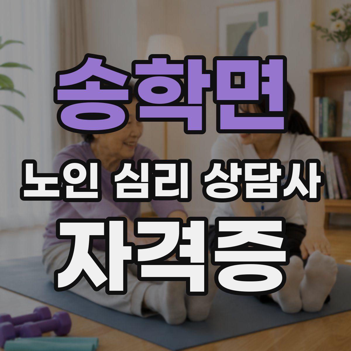 송학면 노인 심리 상담사 자격증