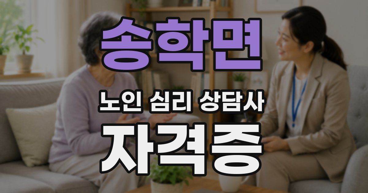 송학면 노인 심리 상담사 자격증