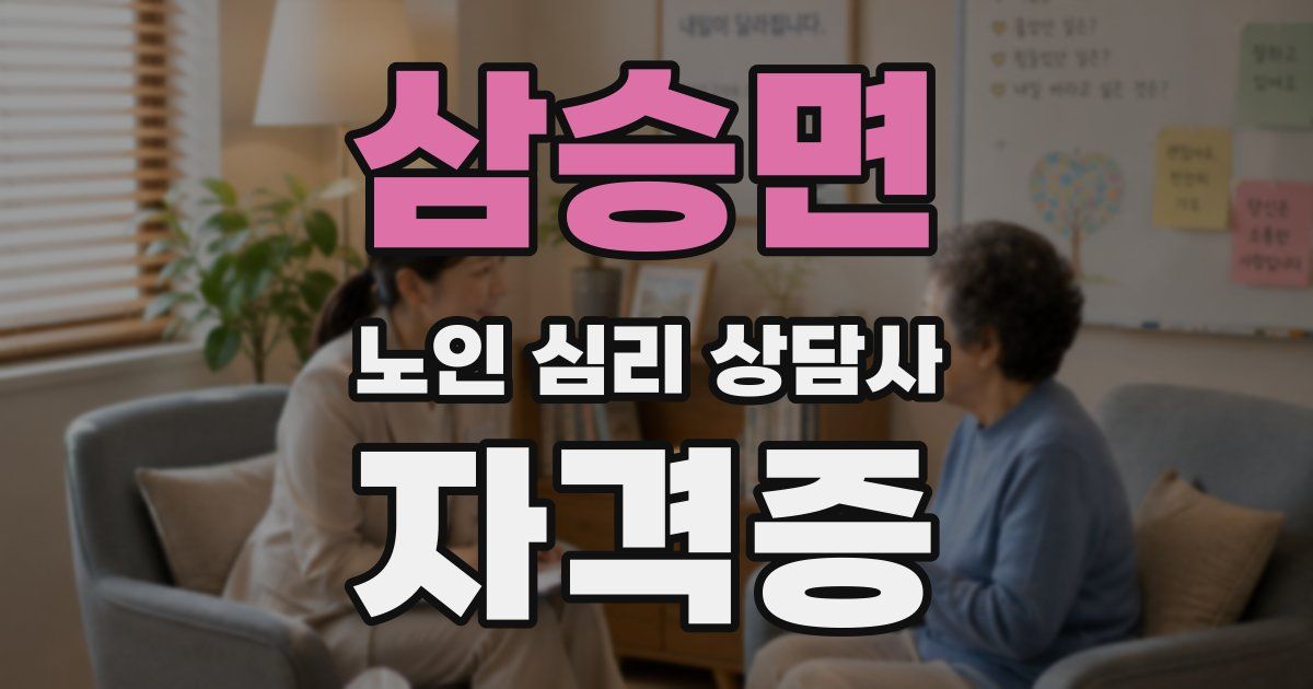 삼승면 노인 심리 상담사 자격증