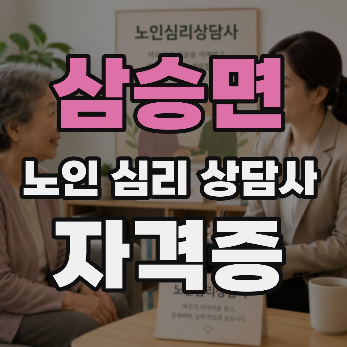 삼승면 노인 심리 상담사 자격증