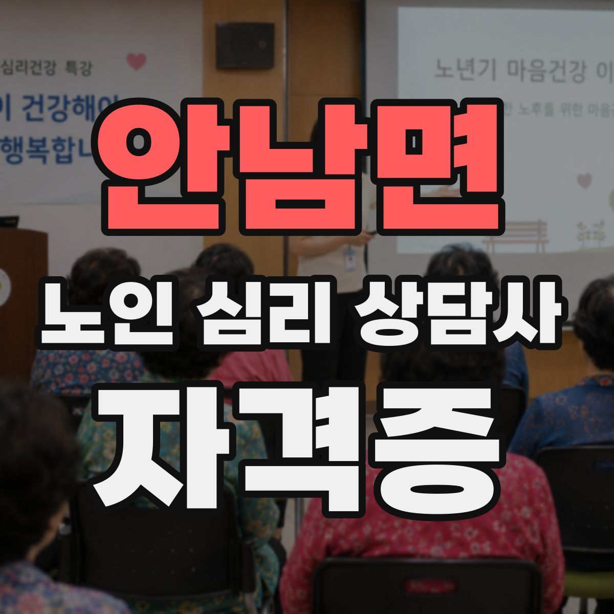 안남면 노인 심리 상담사 자격증