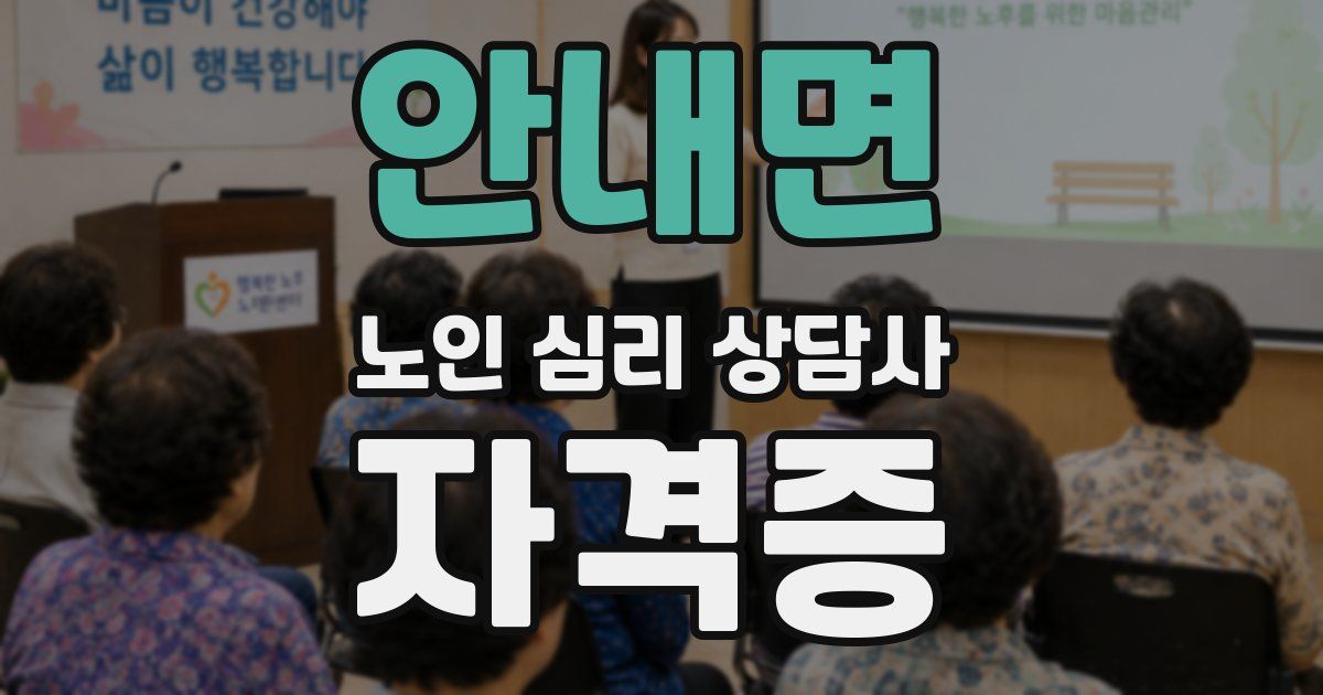 안내면 노인 심리 상담사 자격증