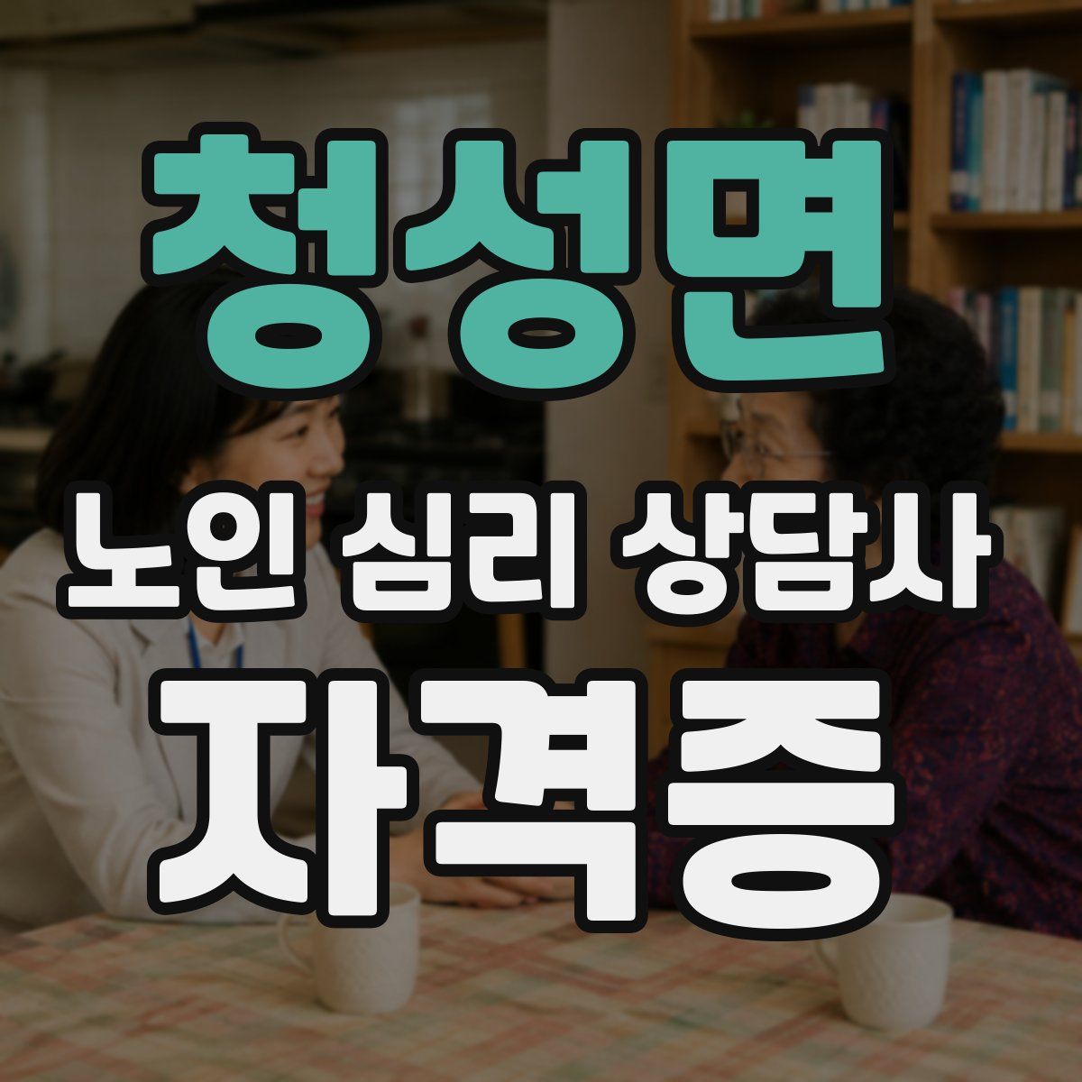 청성면 노인 심리 상담사 자격증
