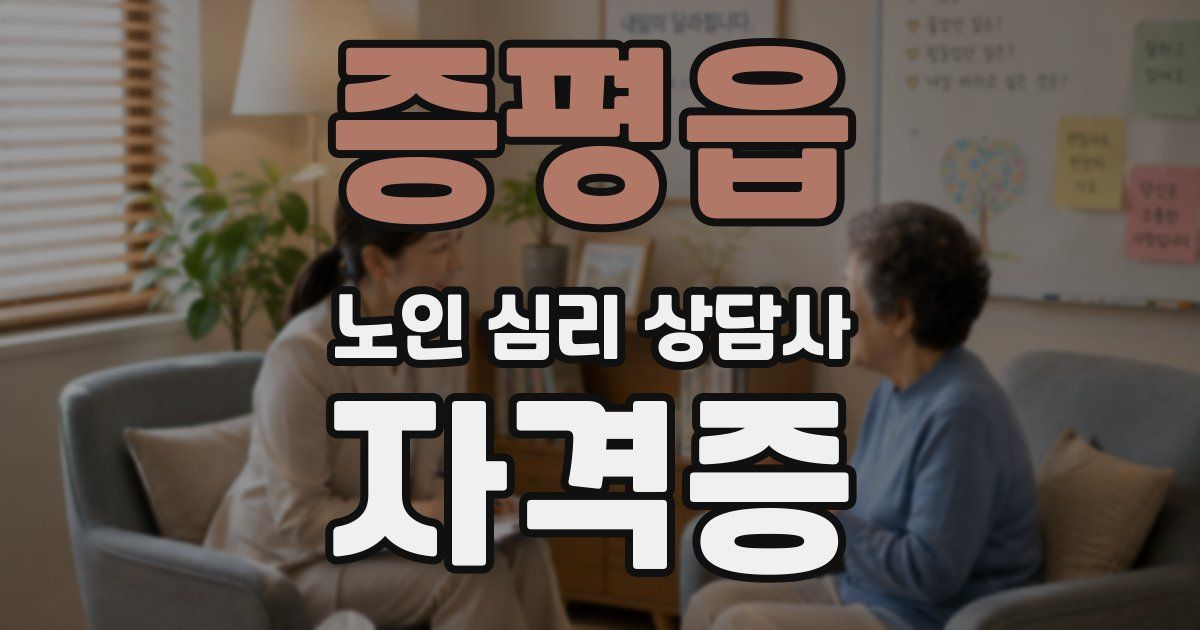 증평읍 노인 심리 상담사 자격증