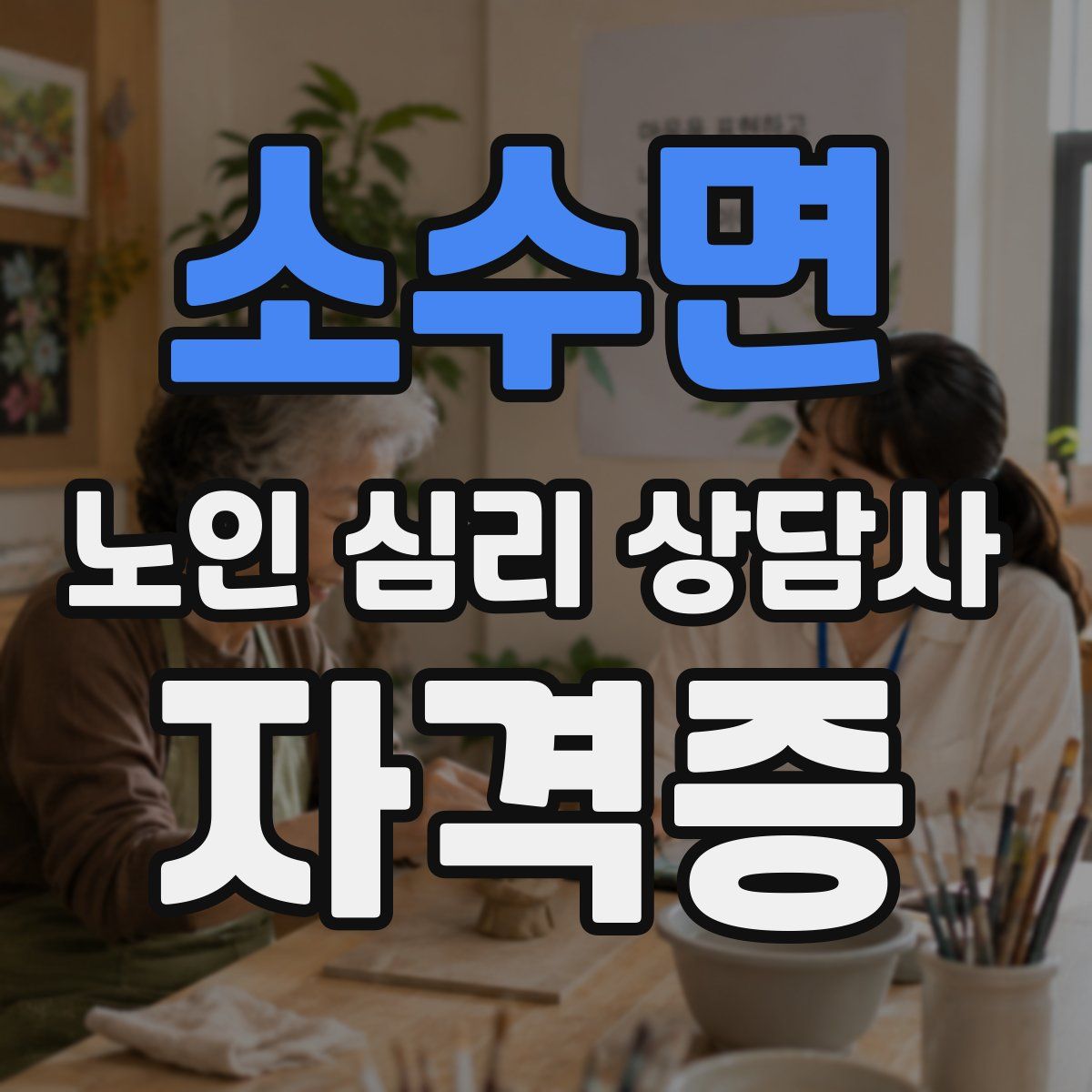 소수면 노인 심리 상담사 자격증
