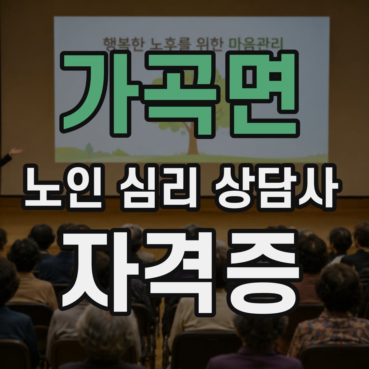 가곡면 노인 심리 상담사 자격증