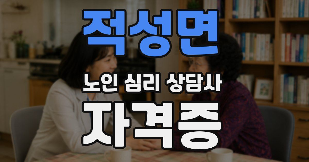 적성면 노인 심리 상담사 자격증