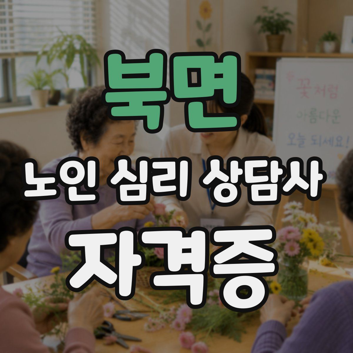 북면 노인 심리 상담사 자격증