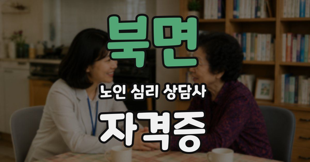 북면 노인 심리 상담사 자격증