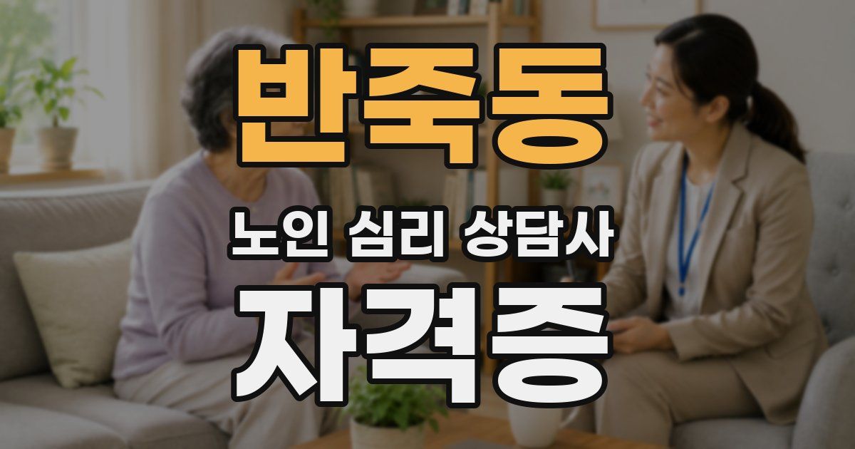 반죽동 노인 심리 상담사 자격증