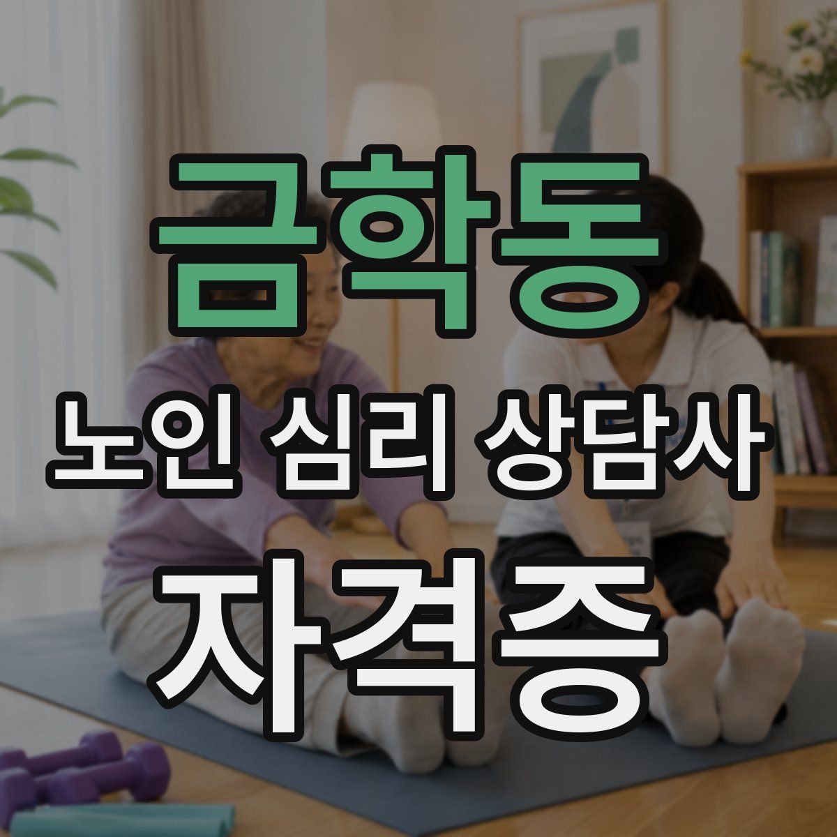 금학동 노인 심리 상담사 자격증