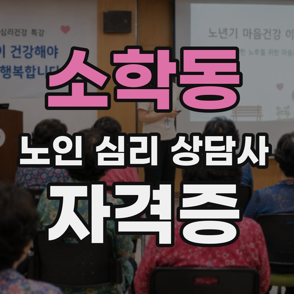 소학동 노인 심리 상담사 자격증