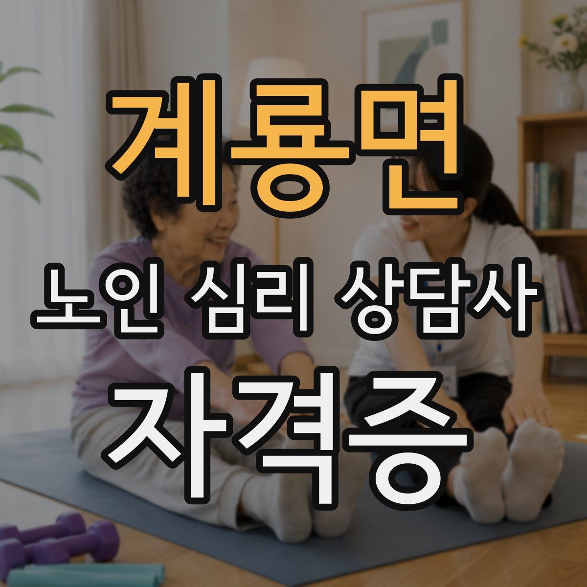 계룡면 노인 심리 상담사 자격증