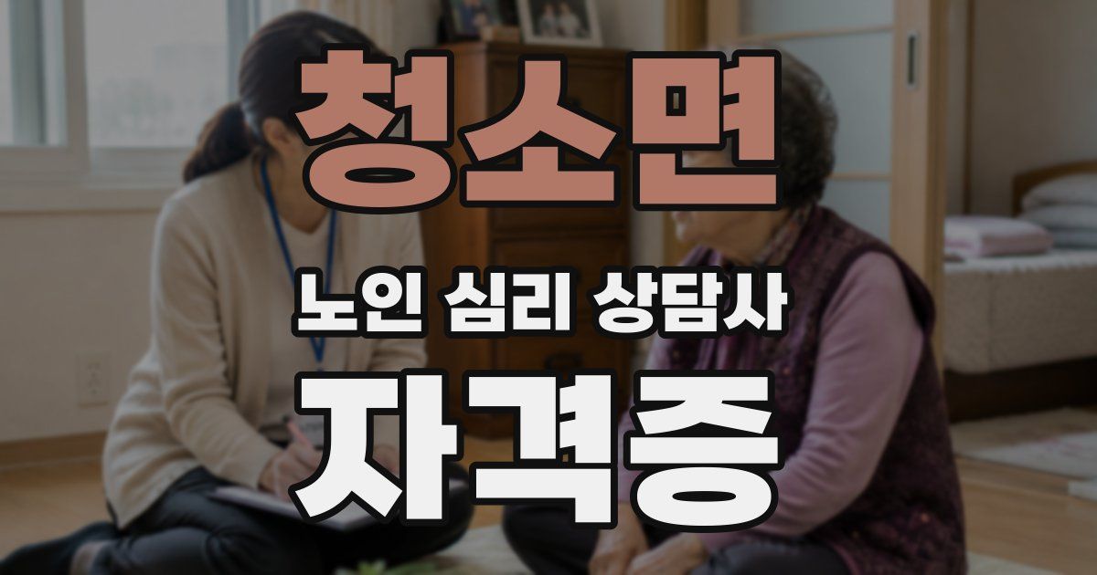 청소면 노인 심리 상담사 자격증