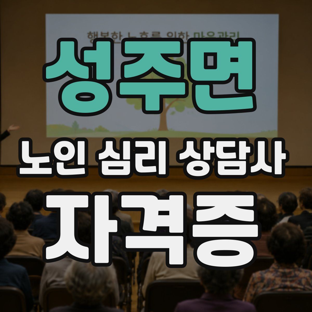 성주면 노인 심리 상담사 자격증