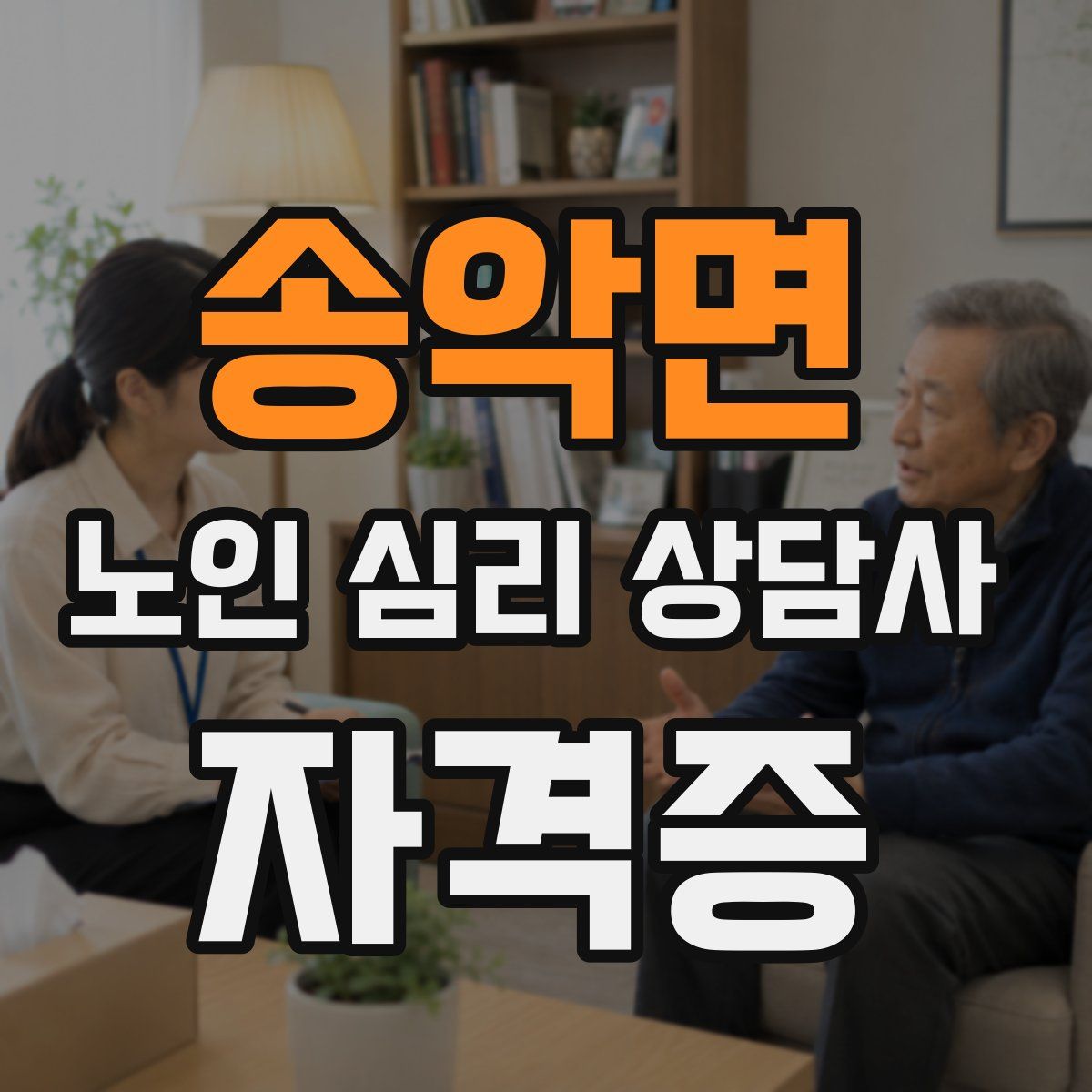 송악면 노인 심리 상담사 자격증