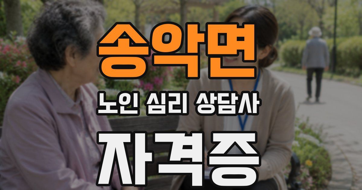 송악면 노인 심리 상담사 자격증