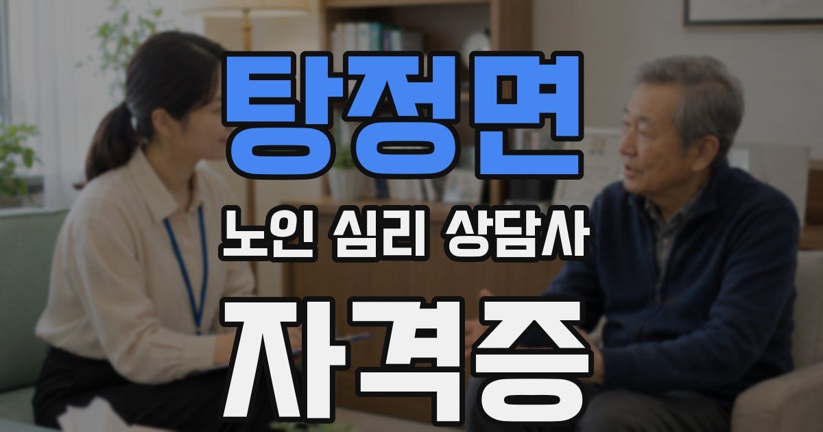 탕정면 노인 심리 상담사 자격증