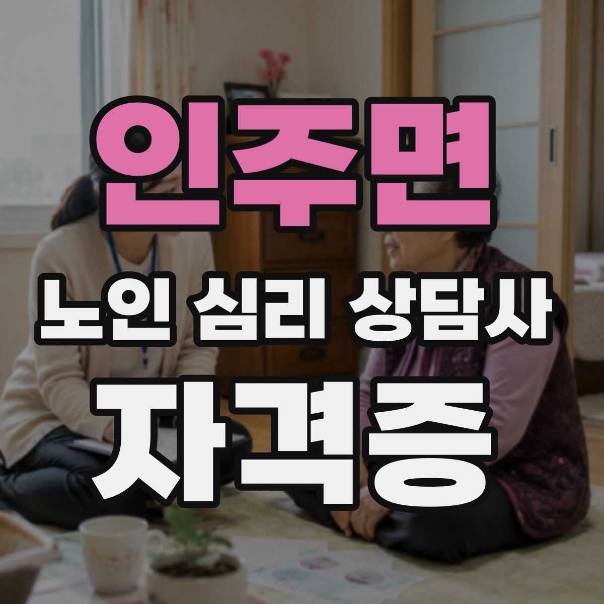 인주면 노인 심리 상담사 자격증