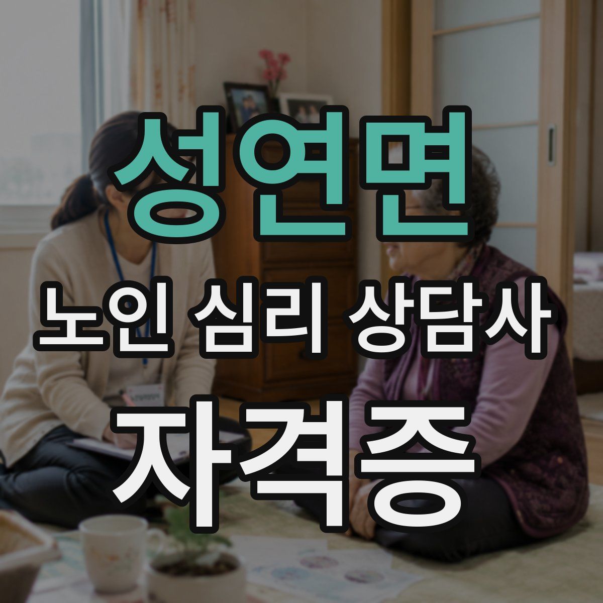 성연면 노인 심리 상담사 자격증