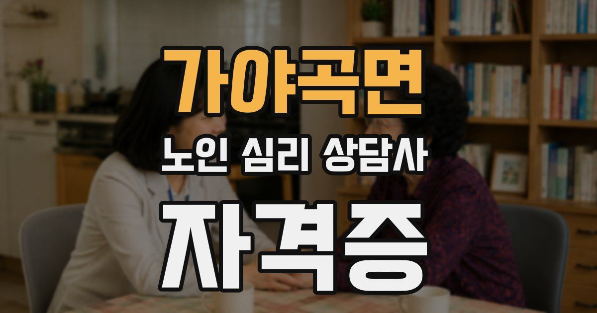 가야곡면 노인 심리 상담사 자격증