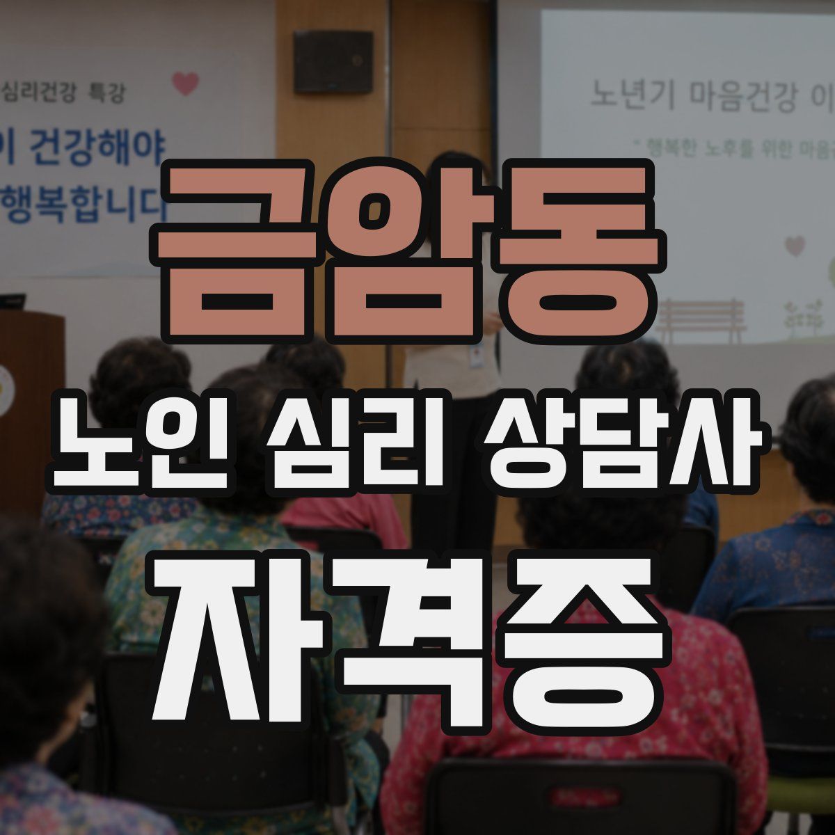 금암동 노인 심리 상담사 자격증