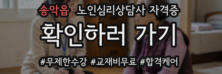 송악읍 노인 심리 상담사 자격증