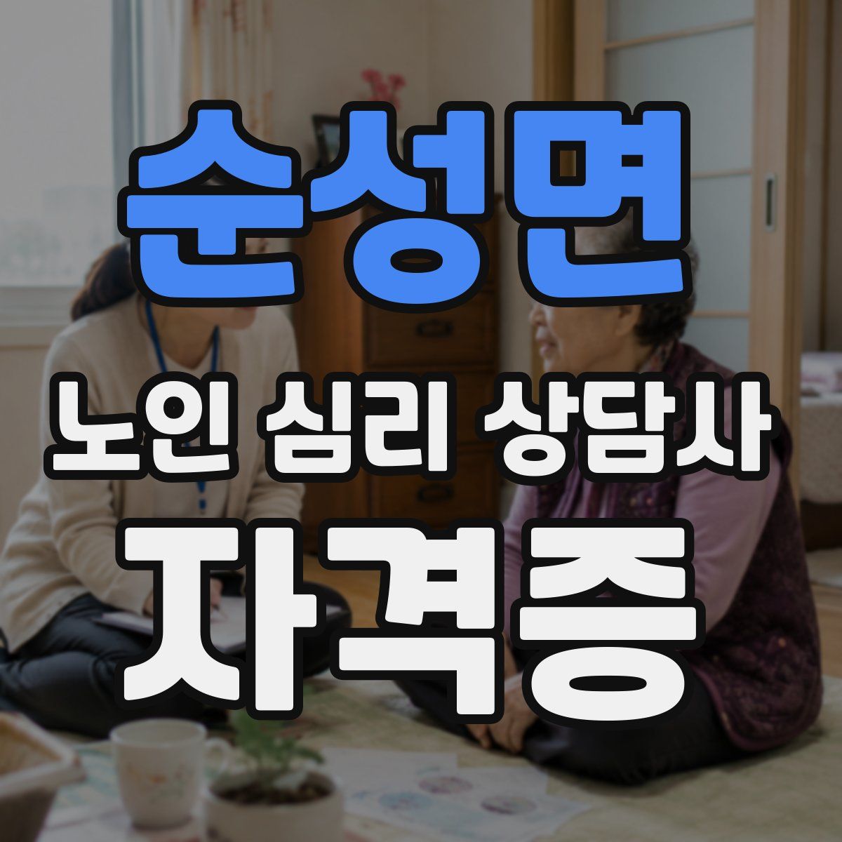 순성면 노인 심리 상담사 자격증