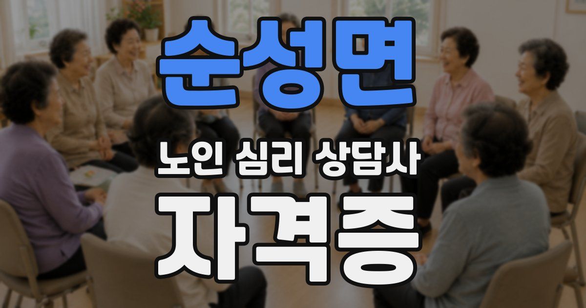 순성면 노인 심리 상담사 자격증