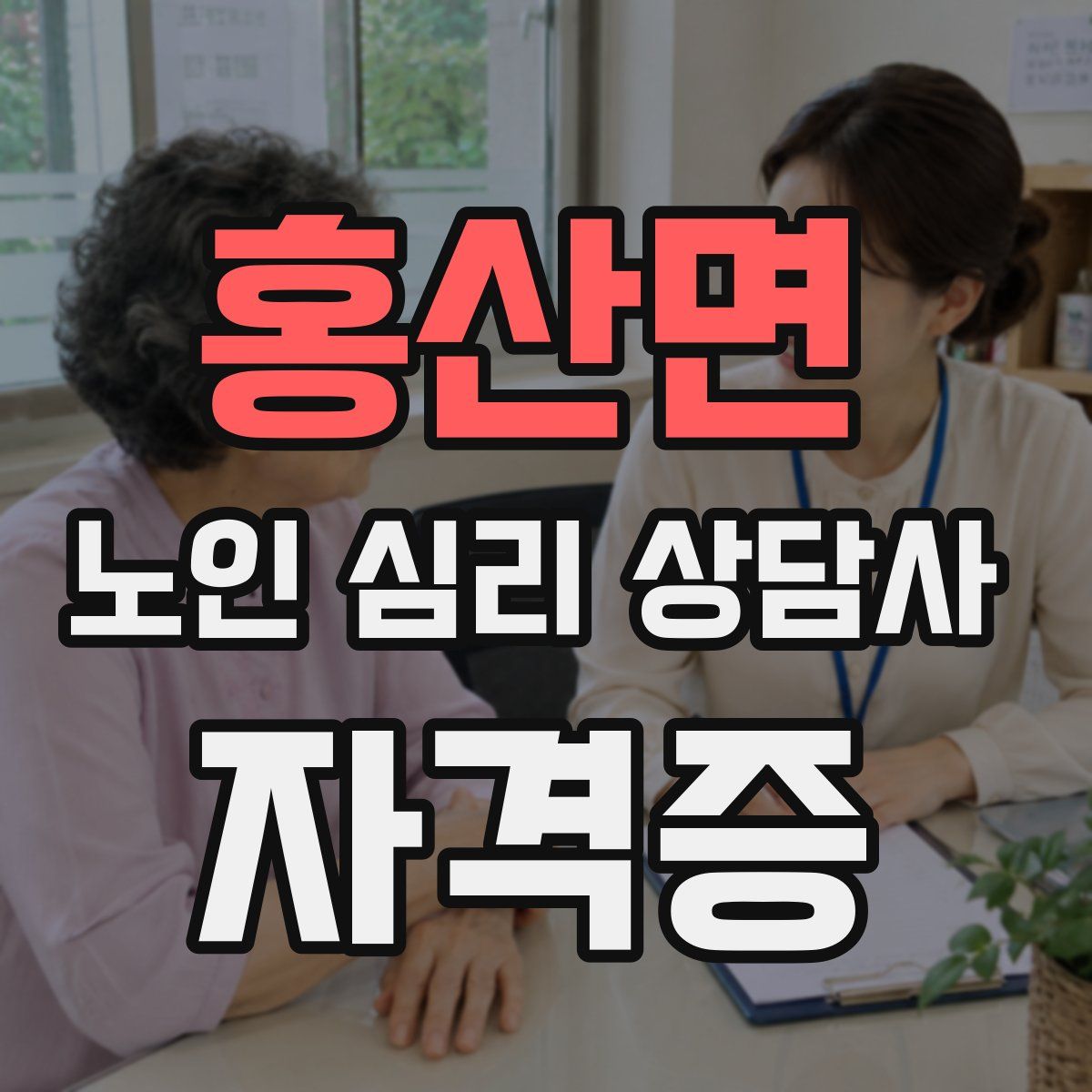 홍산면 노인 심리 상담사 자격증