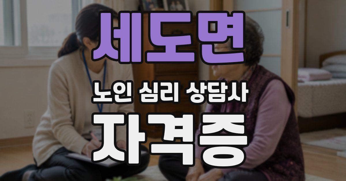 세도면 노인 심리 상담사 자격증