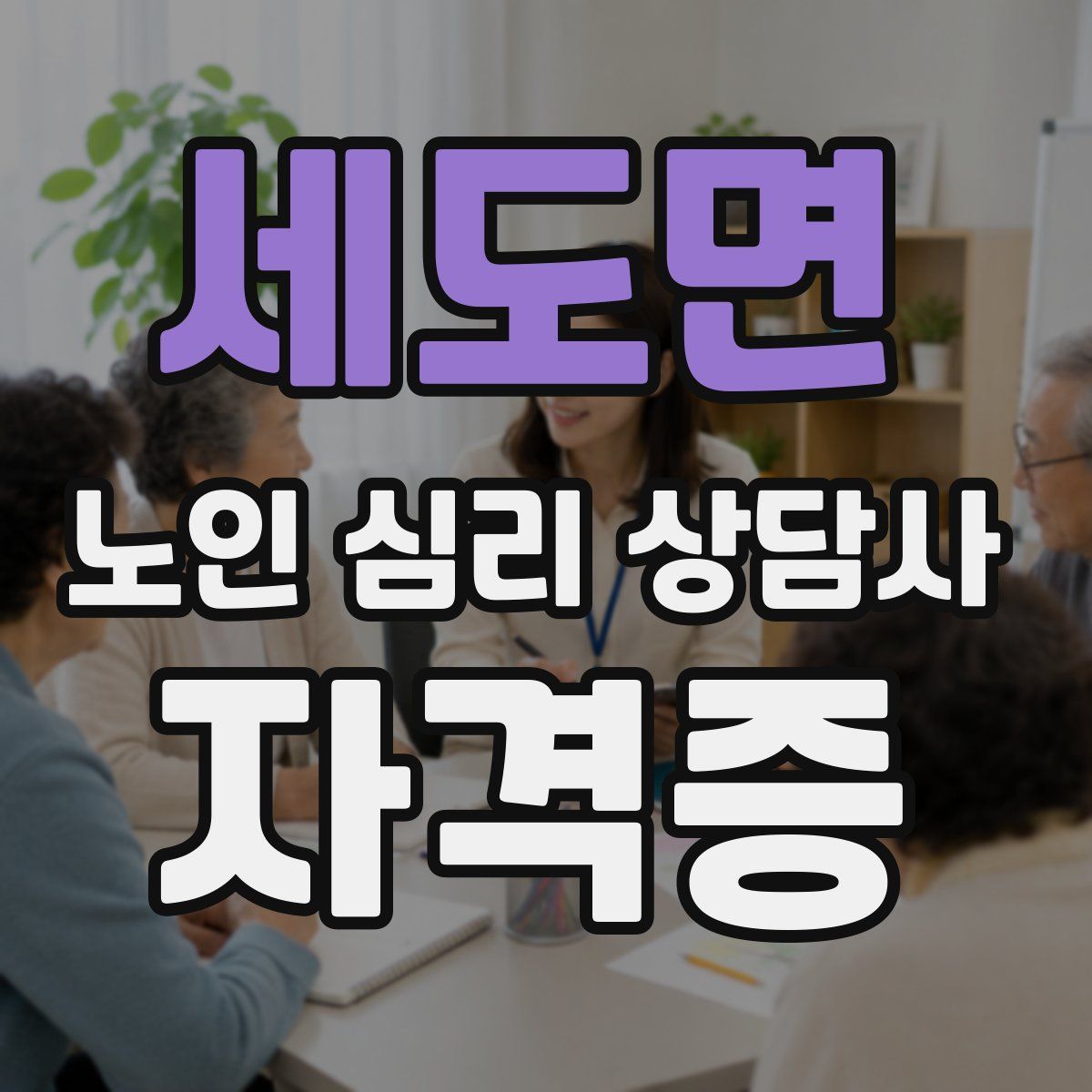세도면 노인 심리 상담사 자격증