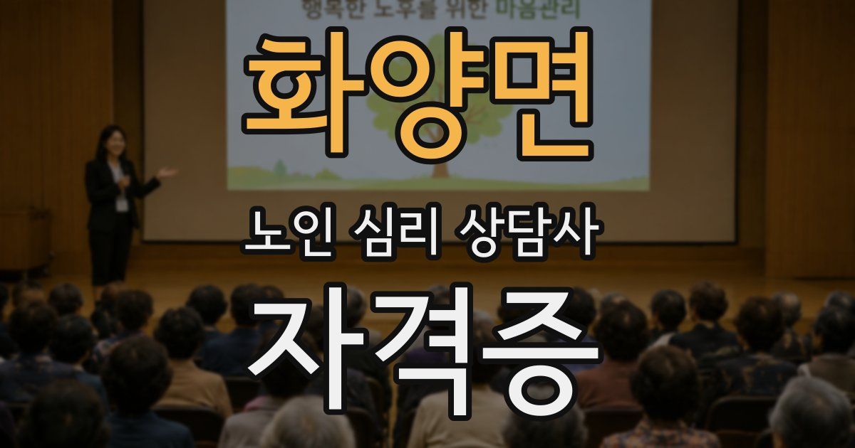 화양면 노인 심리 상담사 자격증