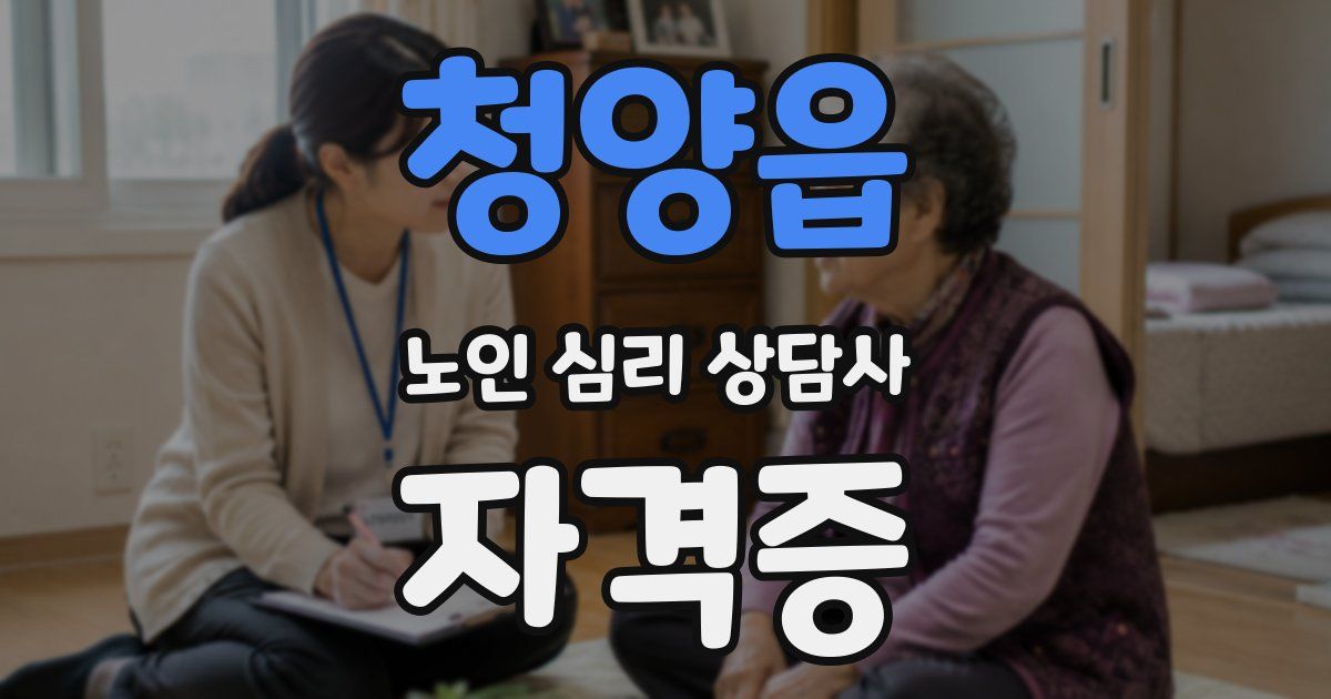 청양읍 노인 심리 상담사 자격증
