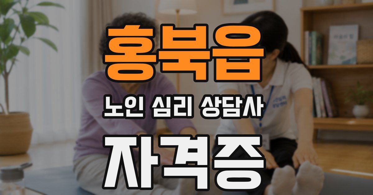 홍북읍 노인 심리 상담사 자격증