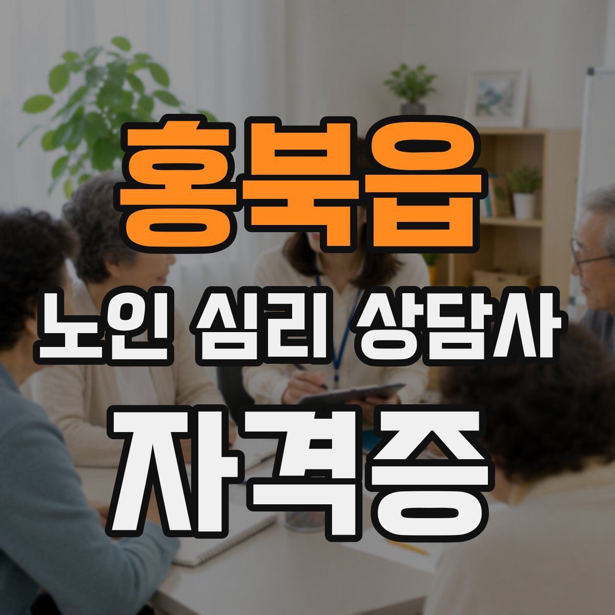 홍북읍 노인 심리 상담사 자격증