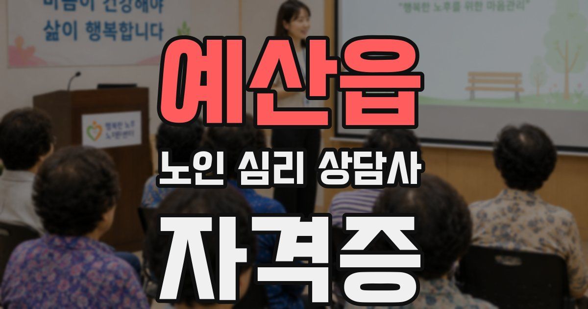 예산읍 노인 심리 상담사 자격증