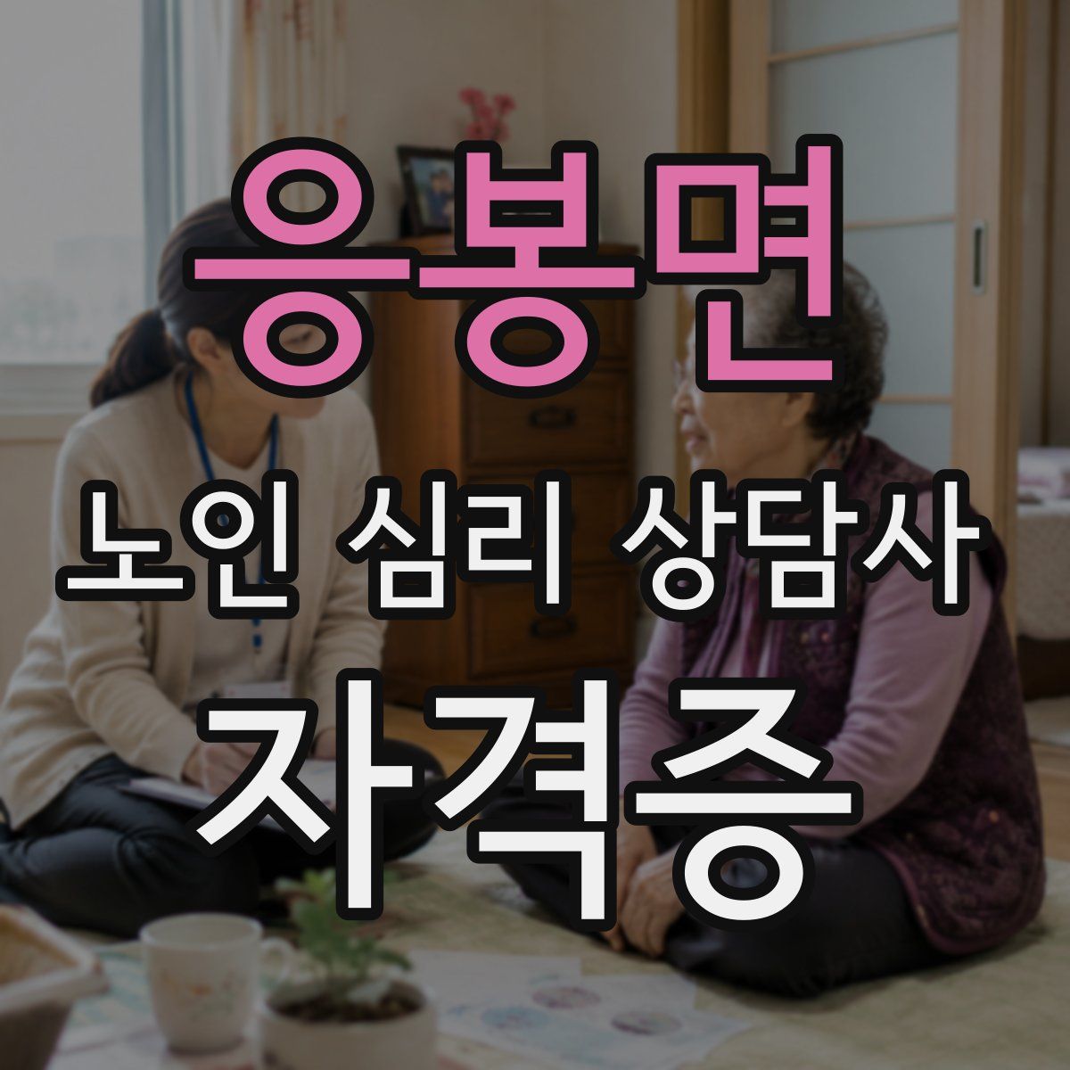 응봉면 노인 심리 상담사 자격증