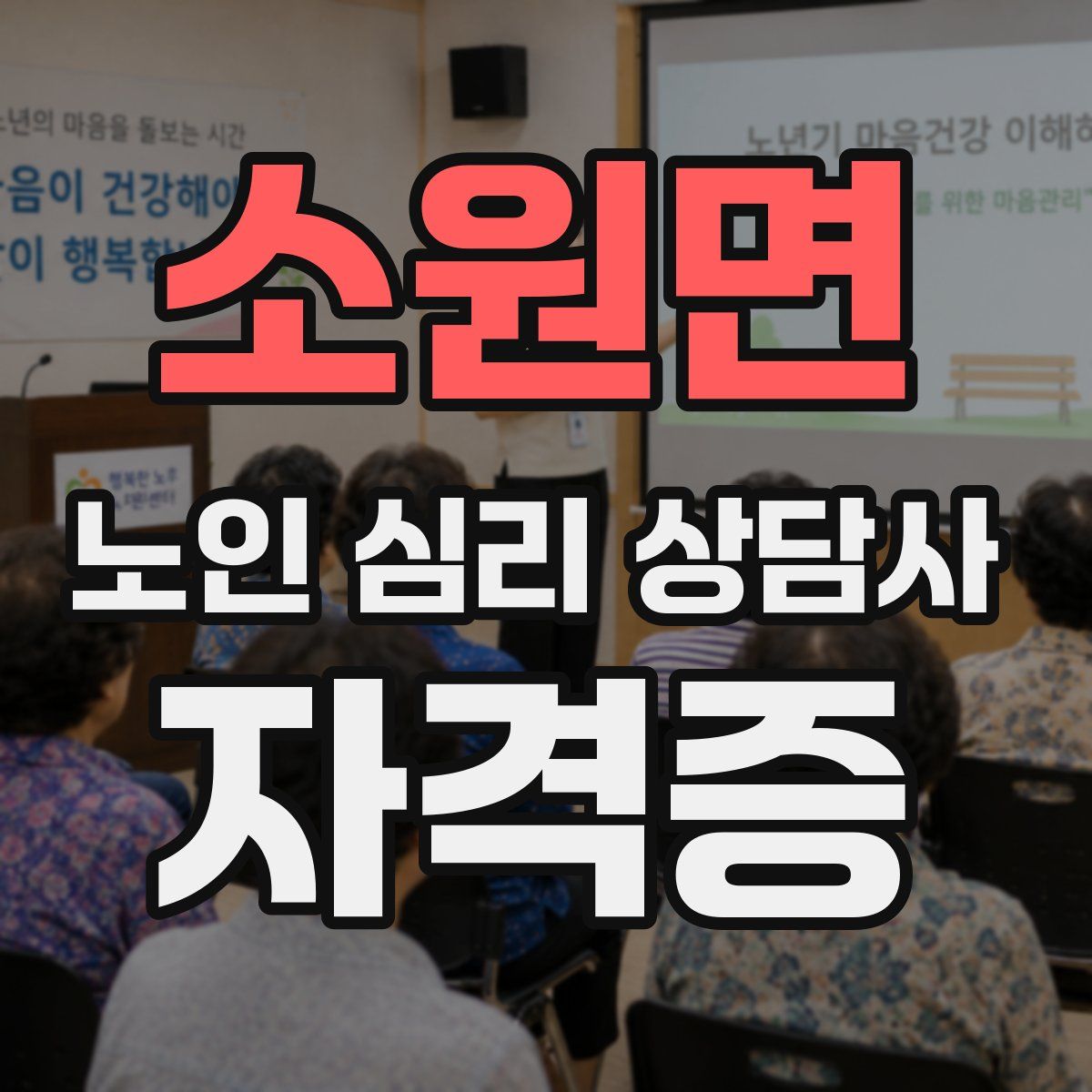 소원면 노인 심리 상담사 자격증