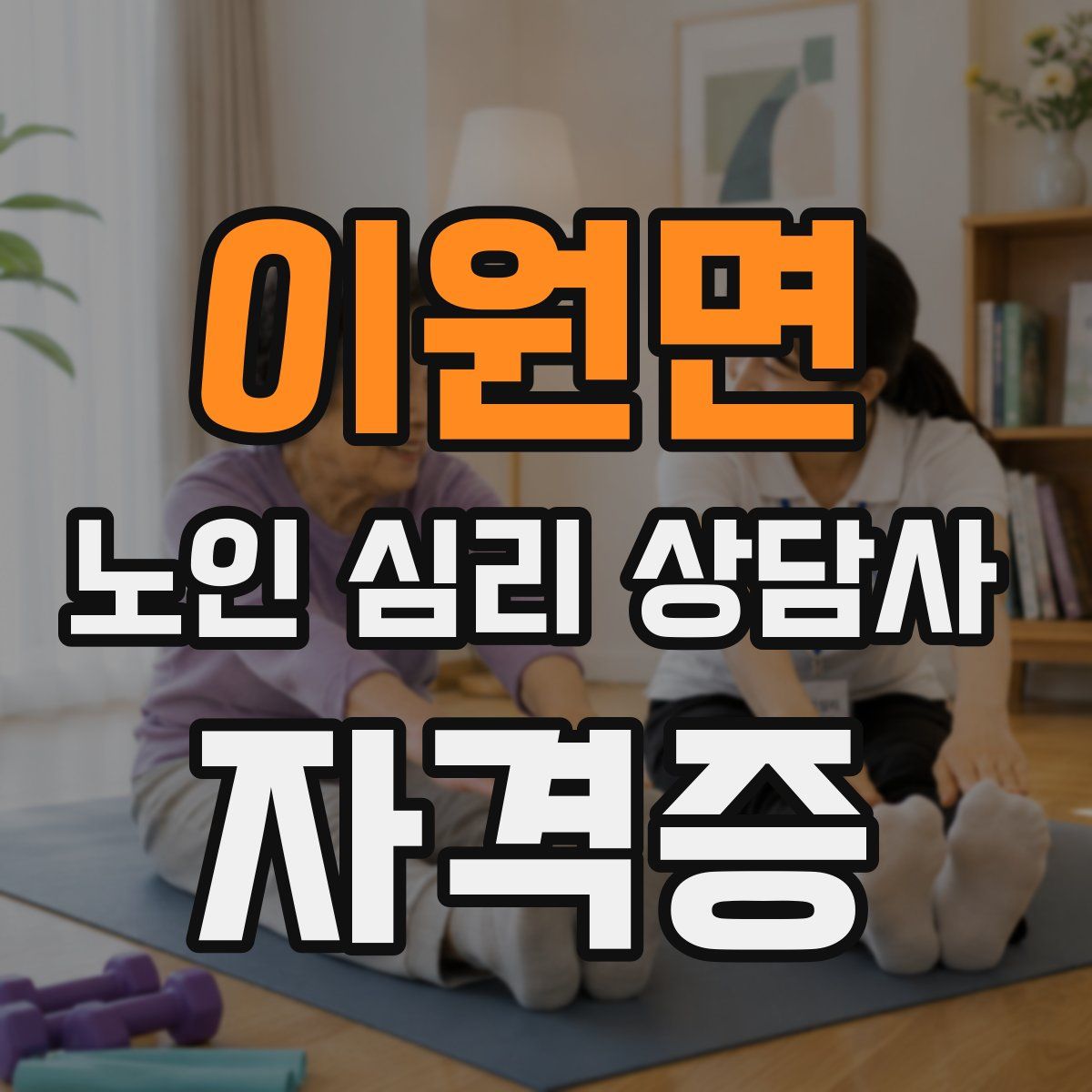 이원면 노인 심리 상담사 자격증
