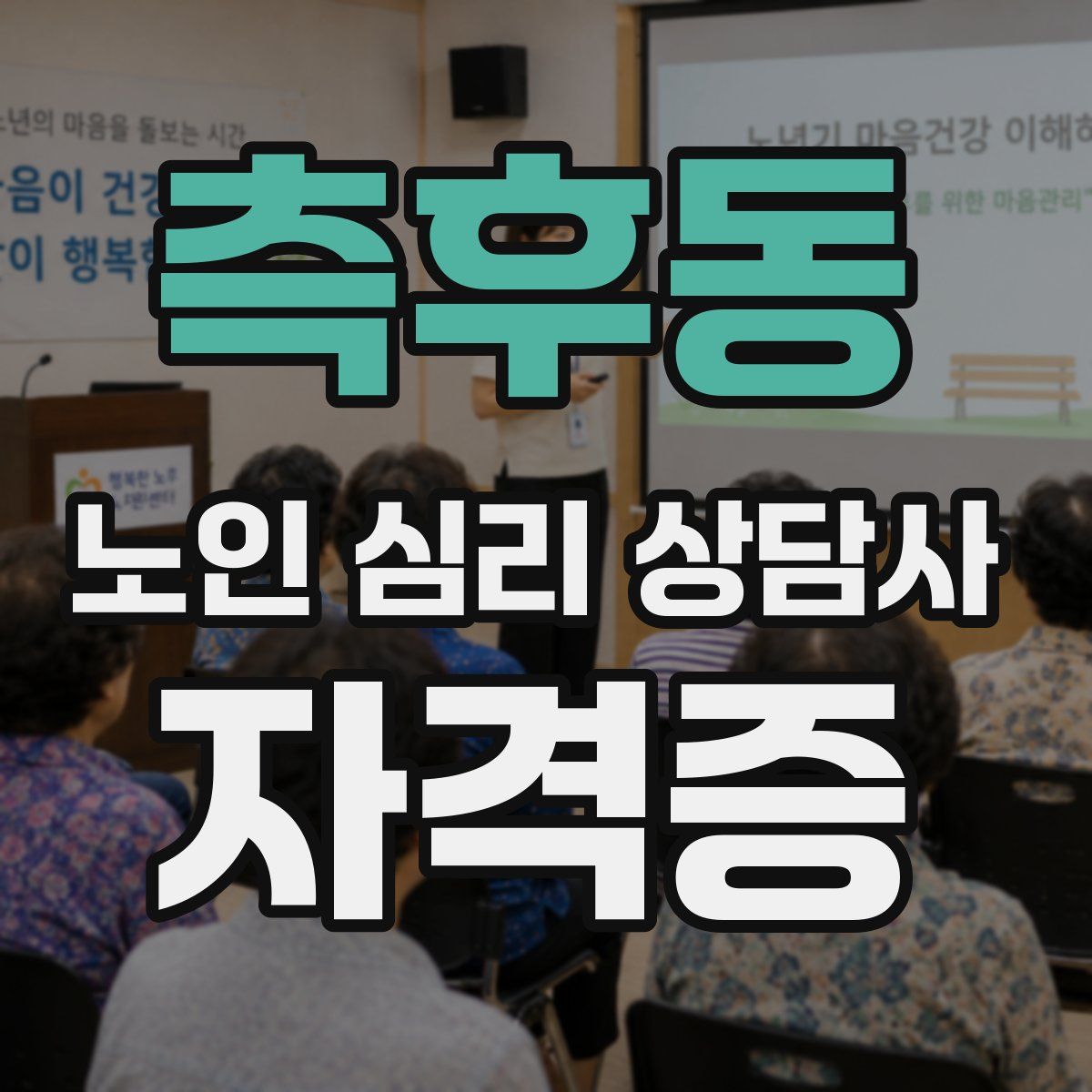 측후동 노인 심리 상담사 자격증
