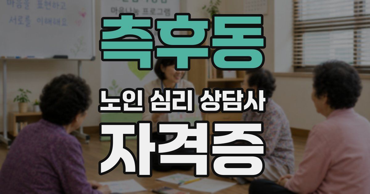 측후동 노인 심리 상담사 자격증