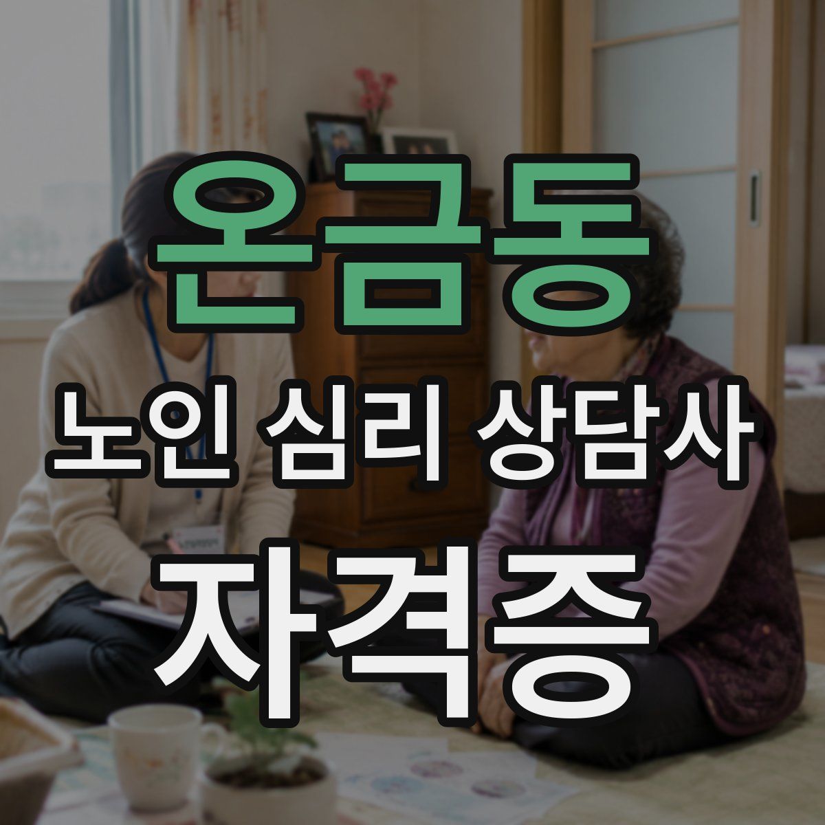 온금동 노인 심리 상담사 자격증