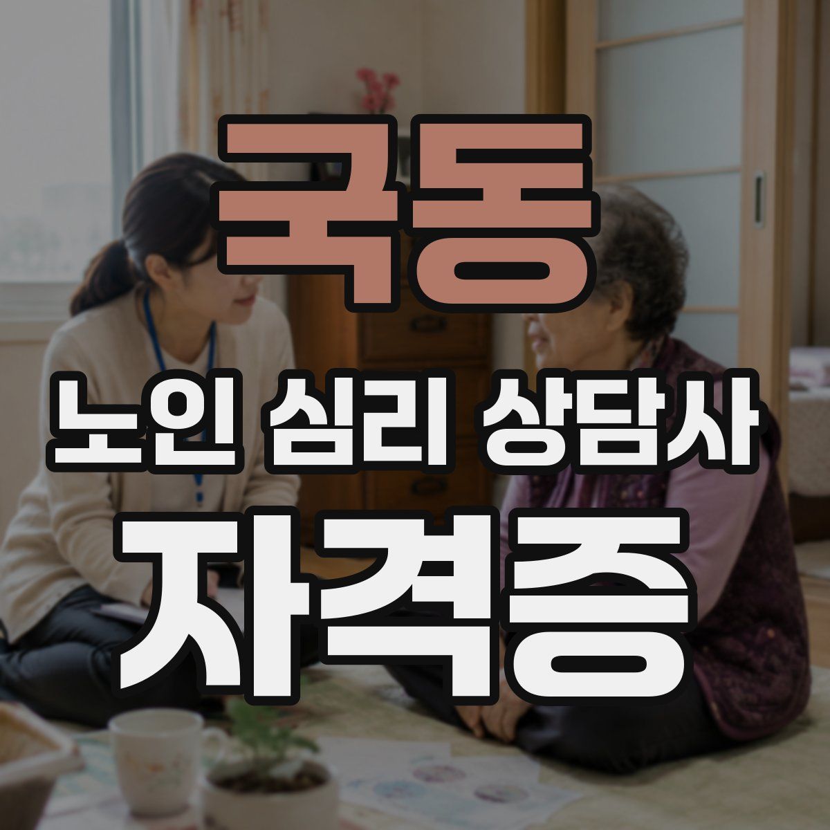 국동 노인 심리 상담사 자격증