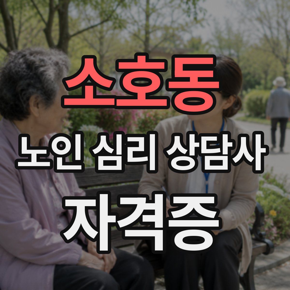 소호동 노인 심리 상담사 자격증