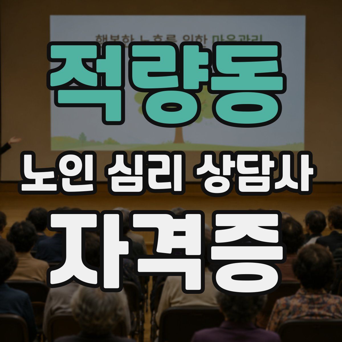 적량동 노인 심리 상담사 자격증