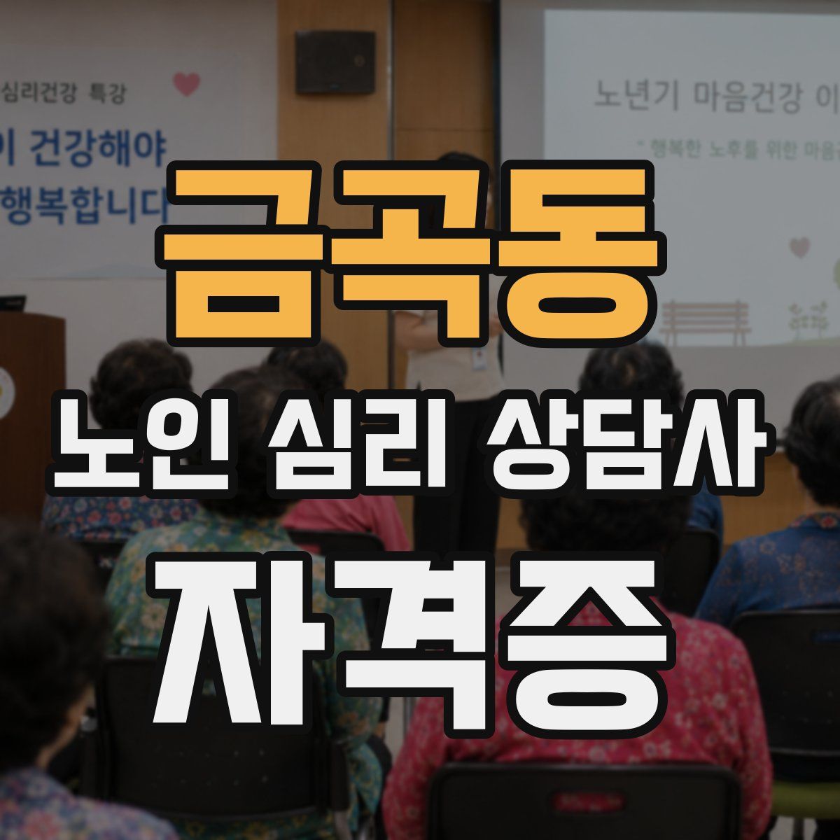 금곡동 노인 심리 상담사 자격증