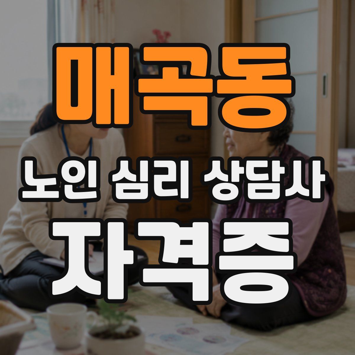 매곡동 노인 심리 상담사 자격증