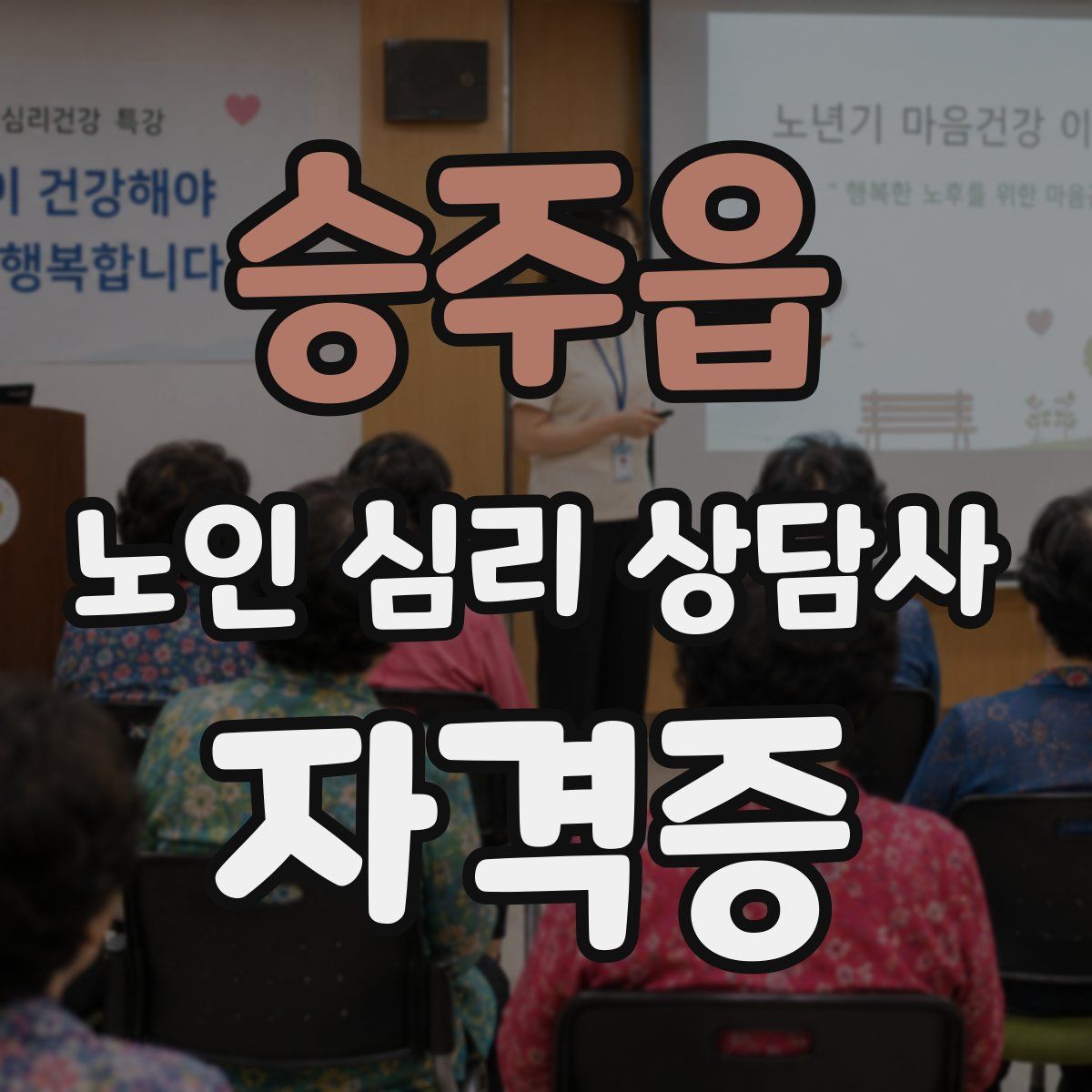승주읍 노인 심리 상담사 자격증