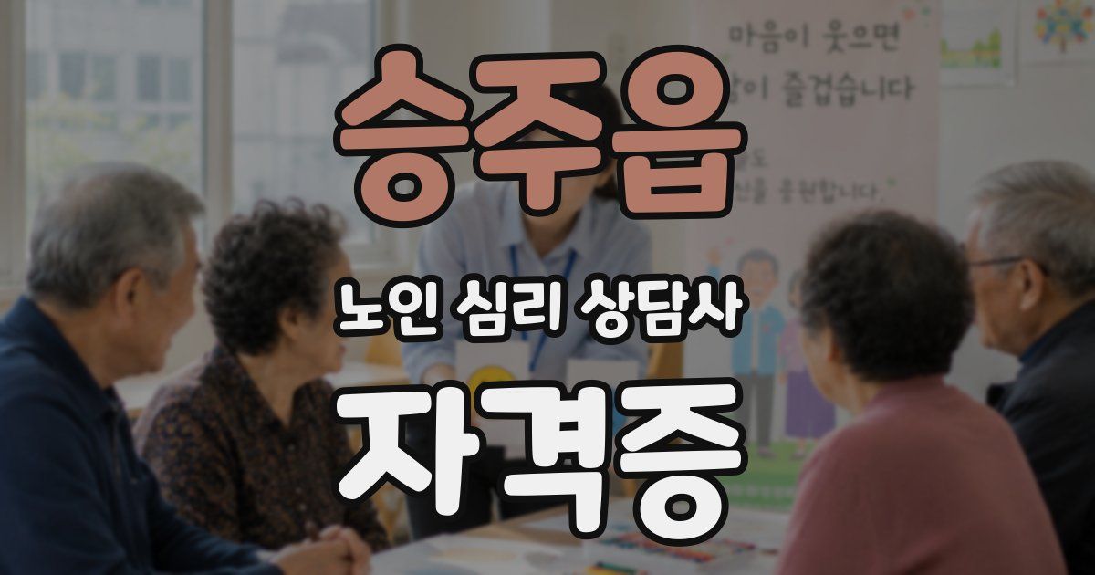 승주읍 노인 심리 상담사 자격증